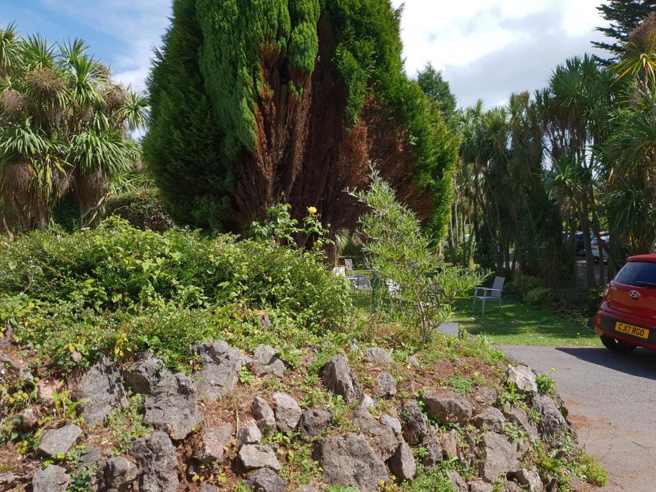 Sherwood Palm Hotel 托基 外观 照片